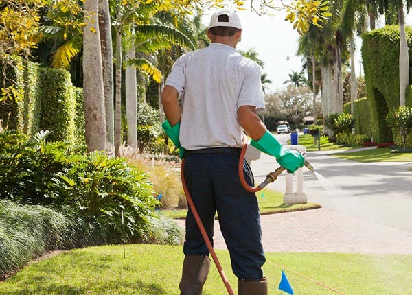 About Paradise TX Pest Control Pros